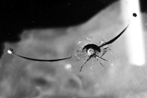 Скол "Полумесяц"